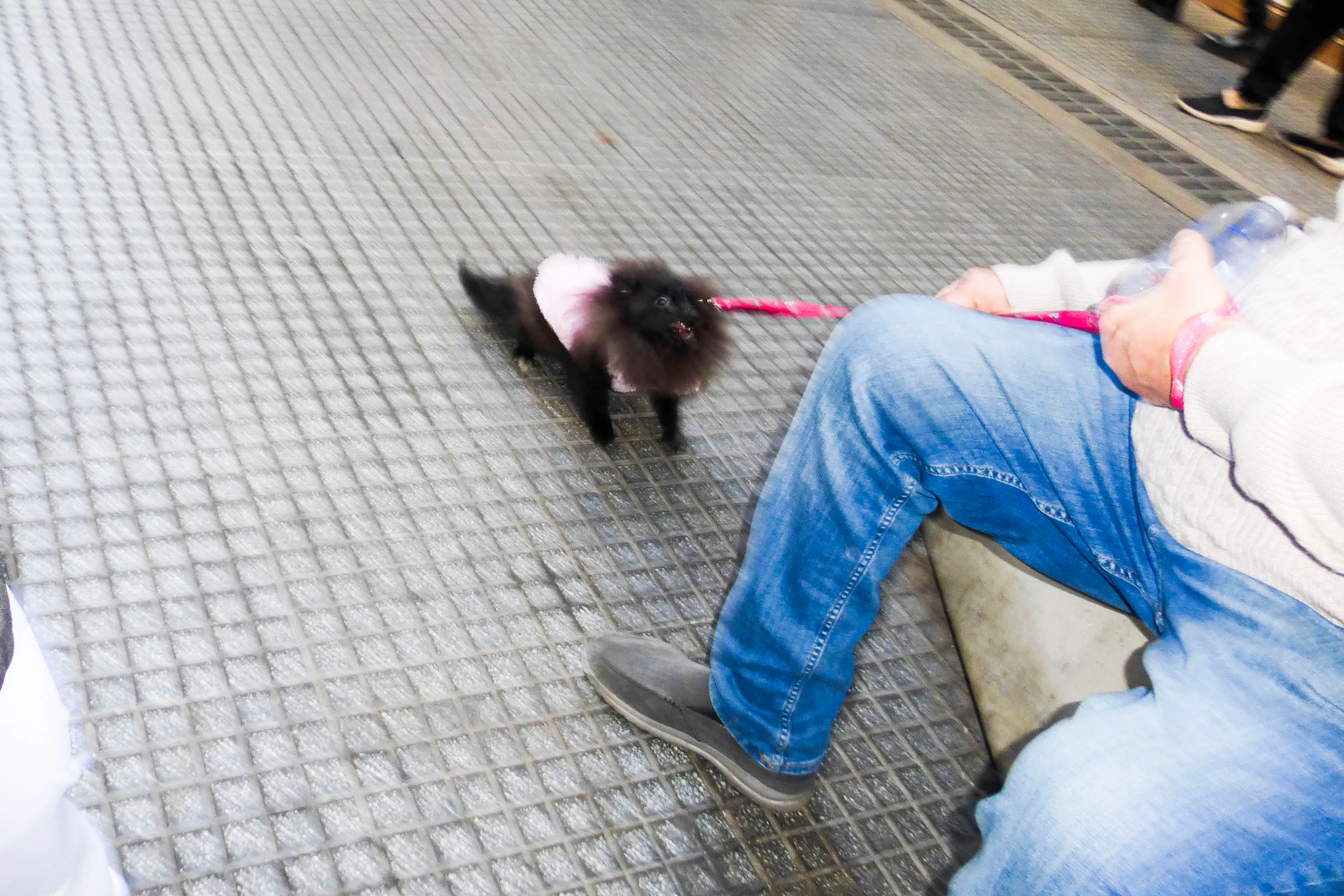 Das Mermas - Taylor (Official Video)  - Image 6